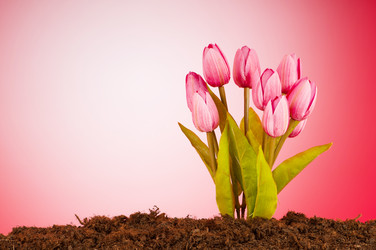 Similar image 621642