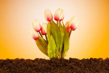 Similar image 621644