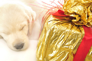 Similar image 621645