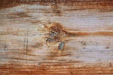 Similar image 621650