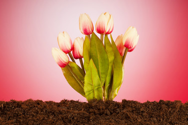 Similar image 621676