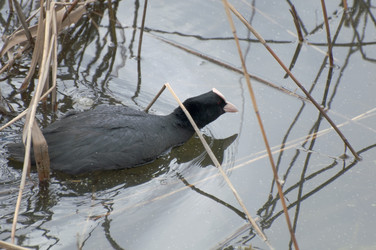 Similar image 621721