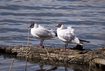 Similar image 621722