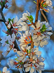 Similar image 621726