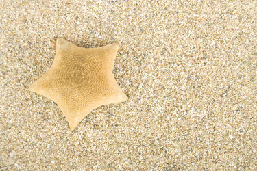 Similar image 621764