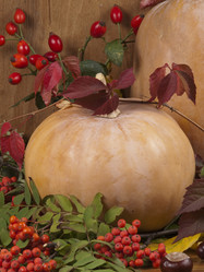 Similar image 621821