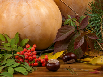 Similar image 621822