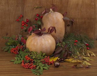 Similar image 621823