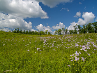 Similar image 621836