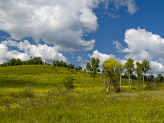 Similar image 621845