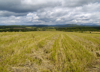 Similar image 621853