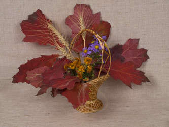 Similar image 621874