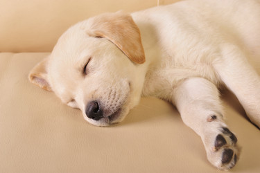 Similar image 621891