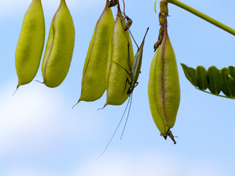 Similar image 621902