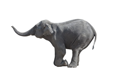 Similar image 621908