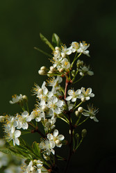 Similar image 621939