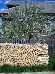 Similar image 621945