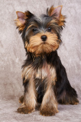 Similar image 622008