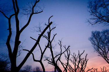 Similar image 622102