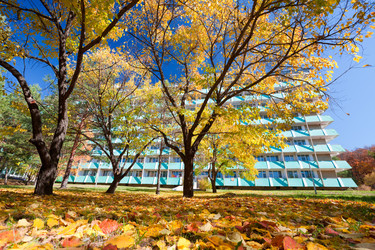 Similar image 622109