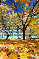 Similar image 622110