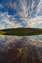 Similar image 622116