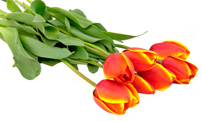 Similar image 622119