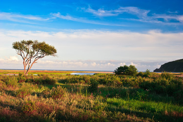 Similar image 622121