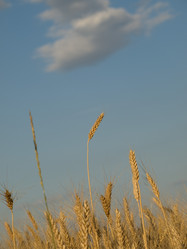 Similar image 622135