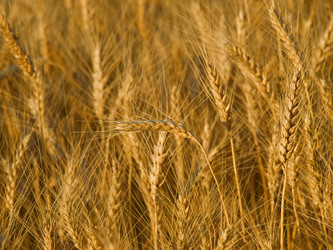 Similar image 622140