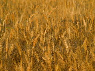 Similar image 622141