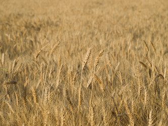 Similar image 622144