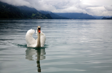 Similar image 622159