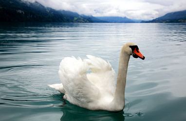 Similar image 622160