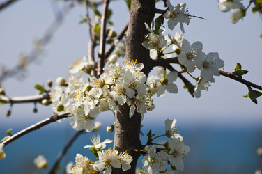 Similar image 622245