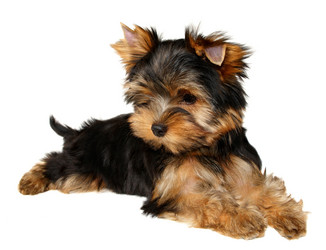 Similar image 622381