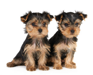 Similar image 622390