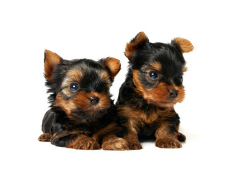 Similar image 622396