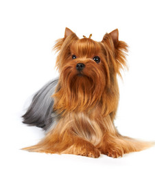 Similar image 622397