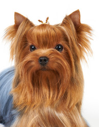 Similar image 622401