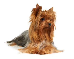 Similar image 622403