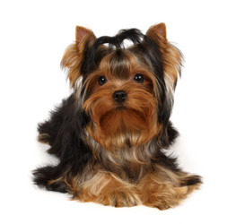 Similar image 622404