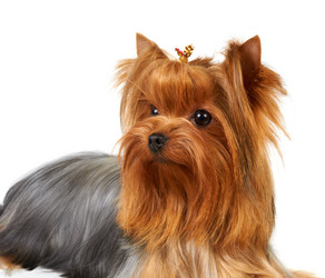 Similar image 622406