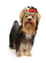 Similar image 622408