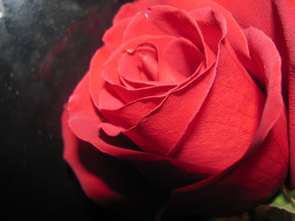 Similar image 622410