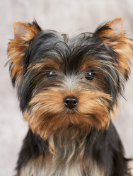 Similar image 622417