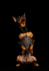 Similar image 622422