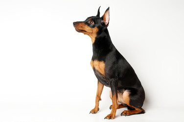 Similar image 622425