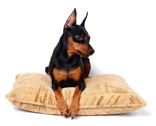 Similar image 622426