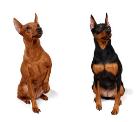 Similar image 622427